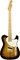 Fender Custom Shop Merle Haggard Signature Telecaster
