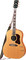 Gibson Acoustic John Lennon J-160E Peace
