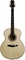 PRS Collection Series IV Grand Acoustic