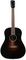 Gibson Acoustic Jackson Browne Signature Acoustic