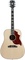 Gibson Acoustic Firebird Custom