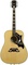 Gibson Acoustic 50th Anniversary Dove Limited