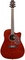 Wechter Guitars Maple Lake DN-2411CE